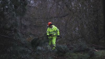 'Aline' deja a su paso por España miles de incidencias y daños millonarios