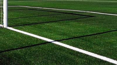 El Zoom: ¿Es el fin del césped artificial?