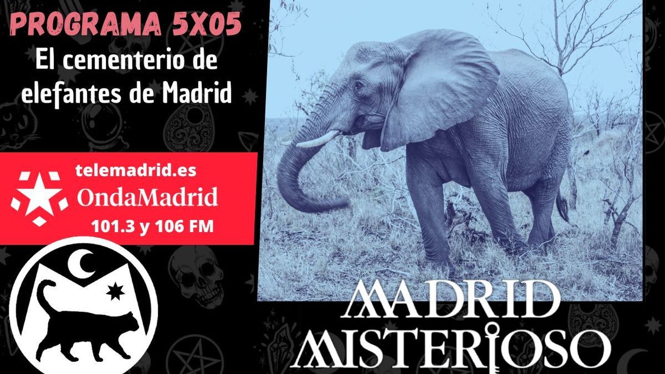 Madrid Misterioso 07.10.2023