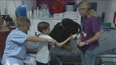 Terapias con perros para niños en el Hospital del Niño Jesús
