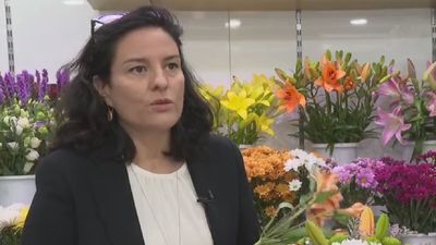 Flores más caras para el día de Todos los Santos