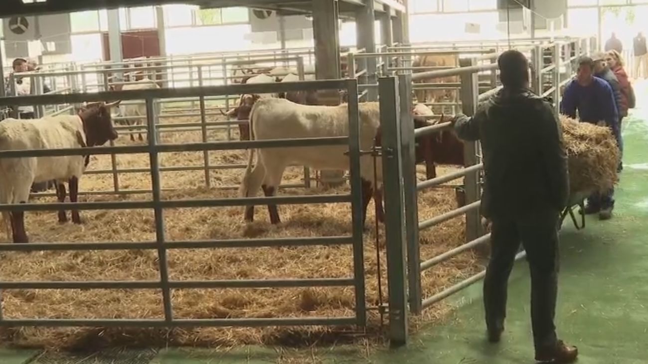 La Despensa de Madrid y la Subasta  Nacional de Ganado Selecto se dan cita en Colmenar Viejo