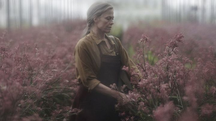 Las flores de Alice Hart ( Prime Video) / Enseriados