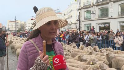 Miles de ovejas toman las calles de Madrid en la Fiesta de la Trashumancia