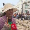 Miles de ovejas toman las calles de Madrid en la Fiesta de la Trashumancia