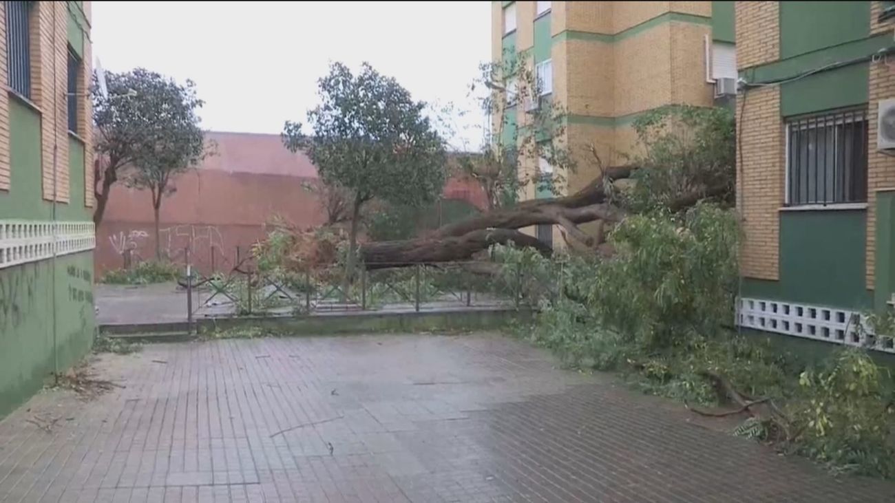 La borrasca Bernard deja dos muertos y 2.700 incidencias en Andalucía