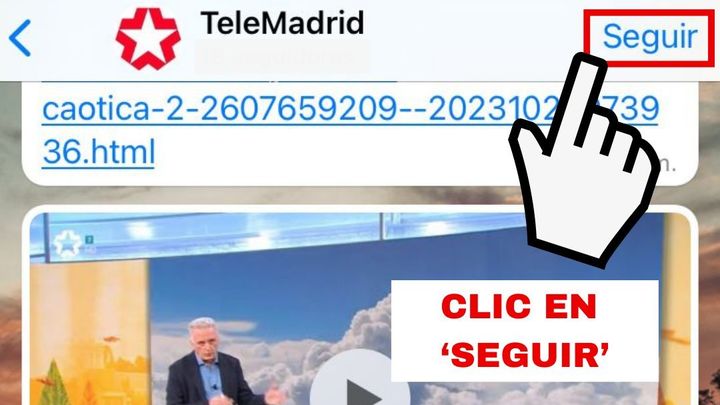 WHATSAPP / TELEMADRID