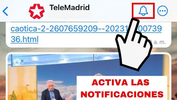 WHATSAPP / TELEMADRID