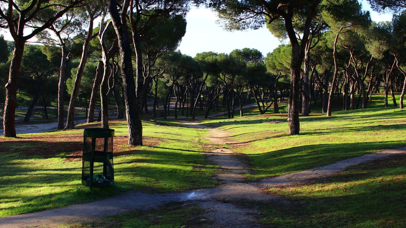 La Comunidad de Madrid declarará Bien de Interés Cultural la Dehesa de la Villa