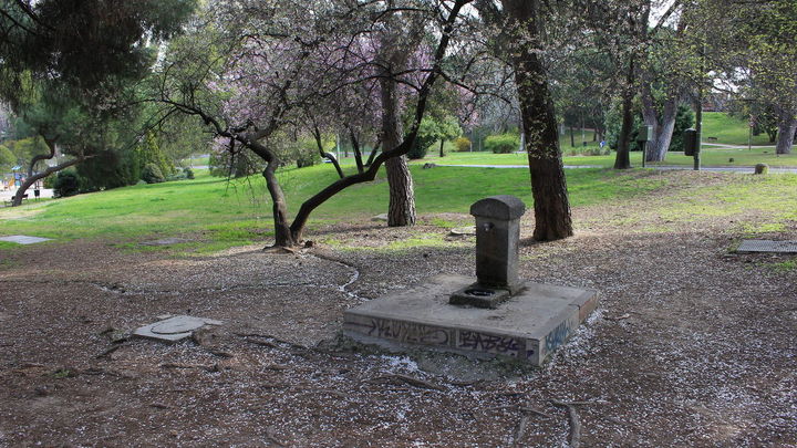 Ciruelos de PIssard / CMT