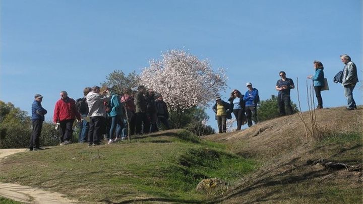Trinchera en la Dehesa de la Villa / AYTO. DE MADRID