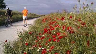 Móstoles plantará medio millar de árboles para repoblar la Vía Verde a Guadarrama