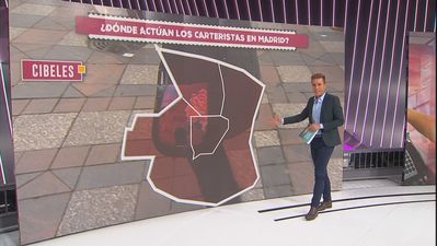 Estas son las zonas de Madrid donde más actúan los carteristas