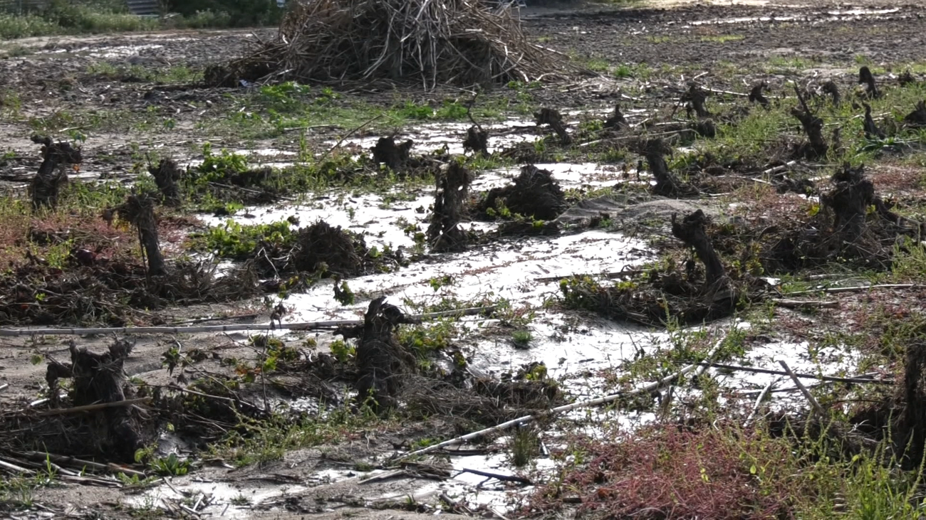 El 012 atiende a los vecinos afectados por la DANA