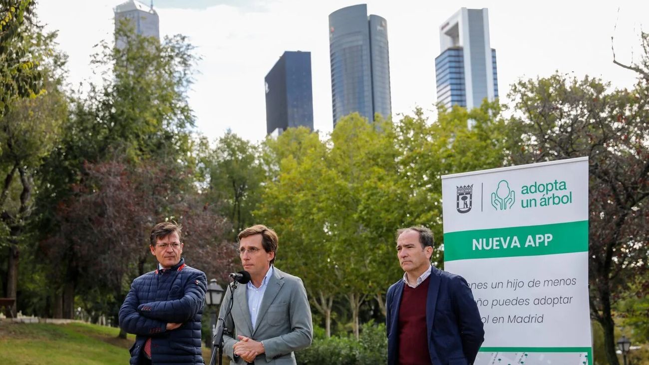Los recién nacidos en Madrid podrán 'adoptar' un árbol