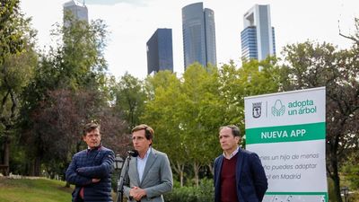 Los recién nacidos en Madrid podrán 'adoptar' un árbol