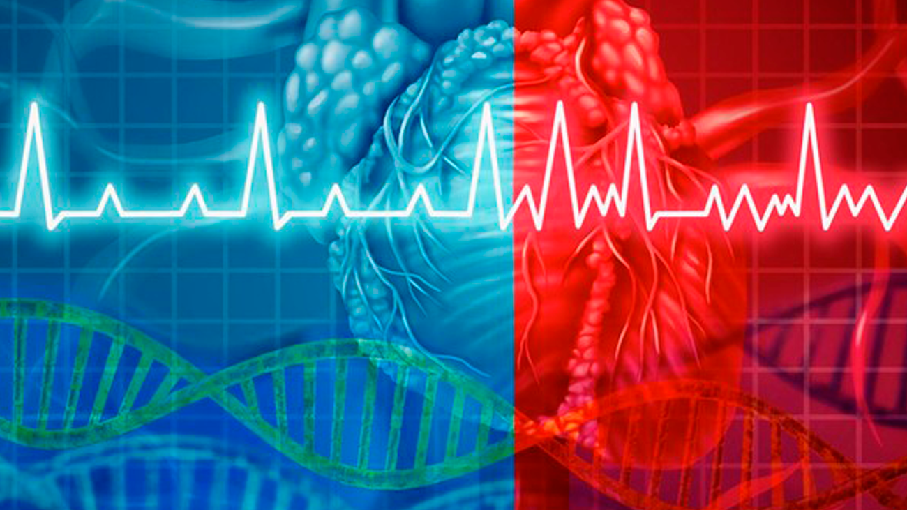Terapia pionera para evitar la muerte súbita en deportistas de élite