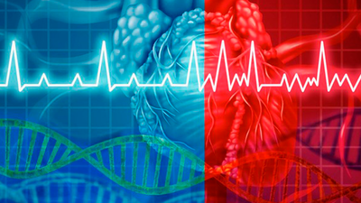 Terapia pionera para evitar la muerte súbita en deportistas de élite