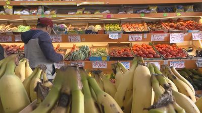 La Policía requisa una partida de falsos níscalos a la venta en Pozuelo