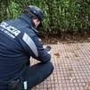 Alcalá comienza a recoger muestras de heces caninas para su identificación