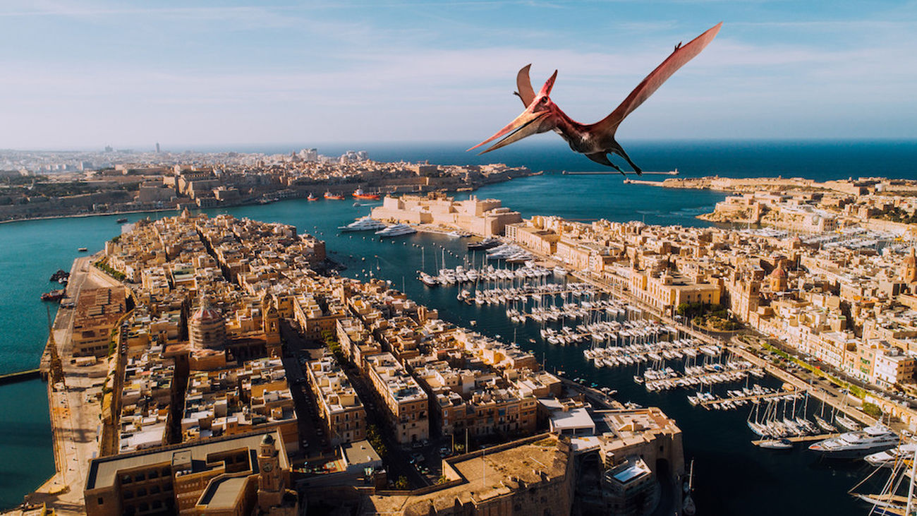 El Enfoque de Ida y Vuelta 40 - A Hollywood le gusta Malta