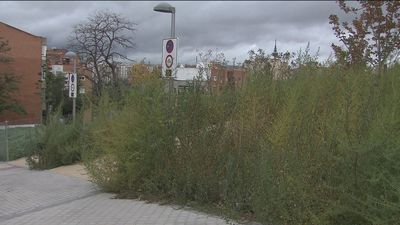 Los vecinos denuncian el abandono de un parque inaugurado hace 8 meses en Puente de Vallecas