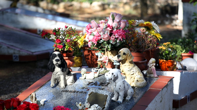 Día de Todos los Santos en el único cementerio de mascotas de Madrid