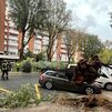 Milagro en Embajadores: un hombre y su hija se libran por poco de la caída de un gran árbol