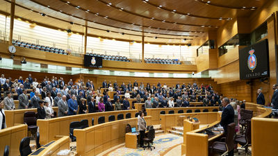 El Senado celebra Puertas Abiertas coincidiendo con el 45 aniversario de la Constitución