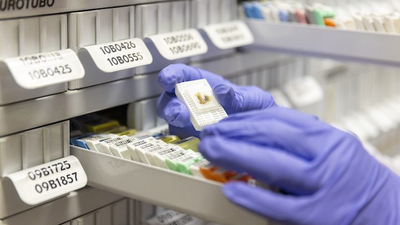 El CNIO acoge el primer repositorio mundial de muestras vivas de metástasis cerebral