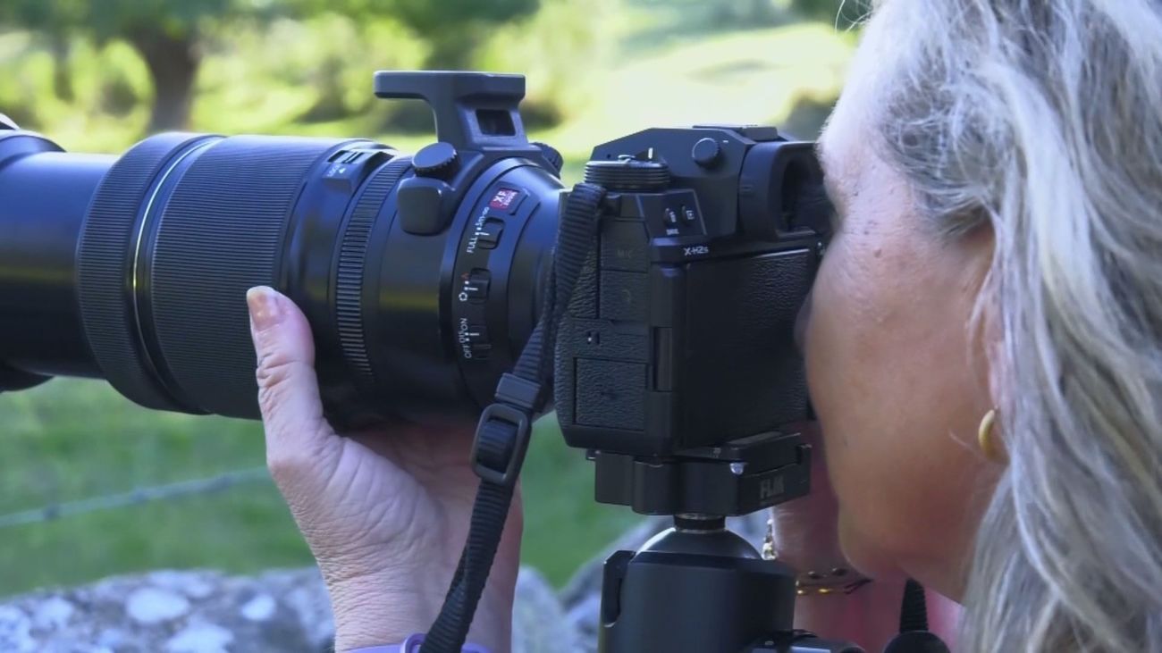 Ruta fotográfica por los alrededores de Colmenar Viejo con FONAMAD
