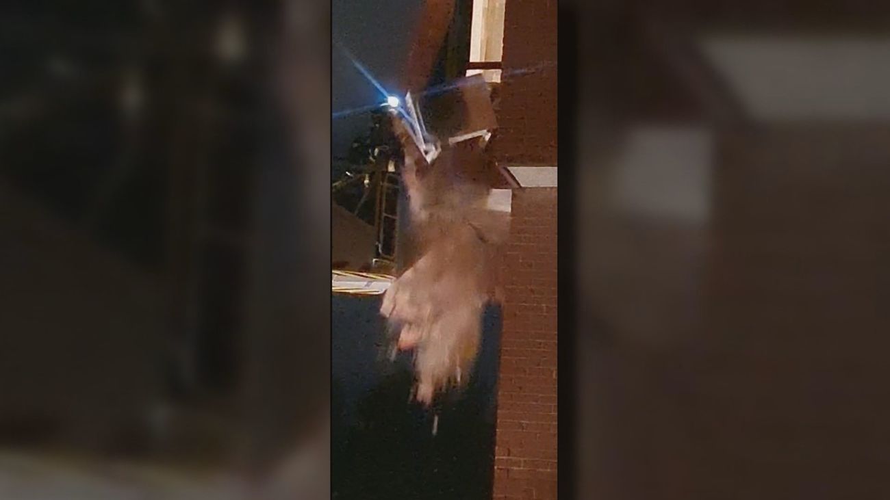 La fachada de los vecinos de Caño Roto cede ante los trabajos de los bomberos