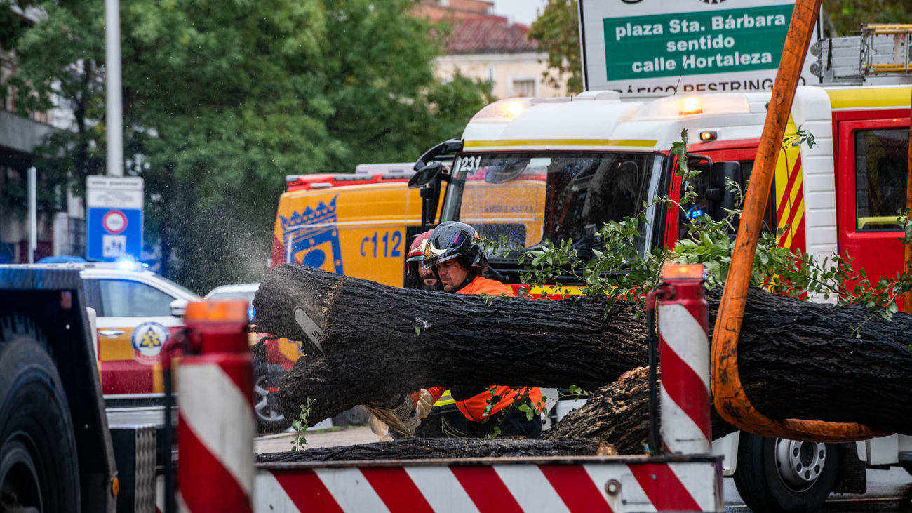 Bomberos desalojan el árbol caído en la calle Almagro