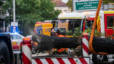 La joven que murió tras caerle un árbol era de Barcelona y becaria de Novartis en Madrid