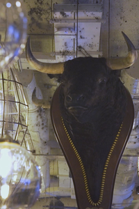 Nos vemos en el bar: Bares Taurinos