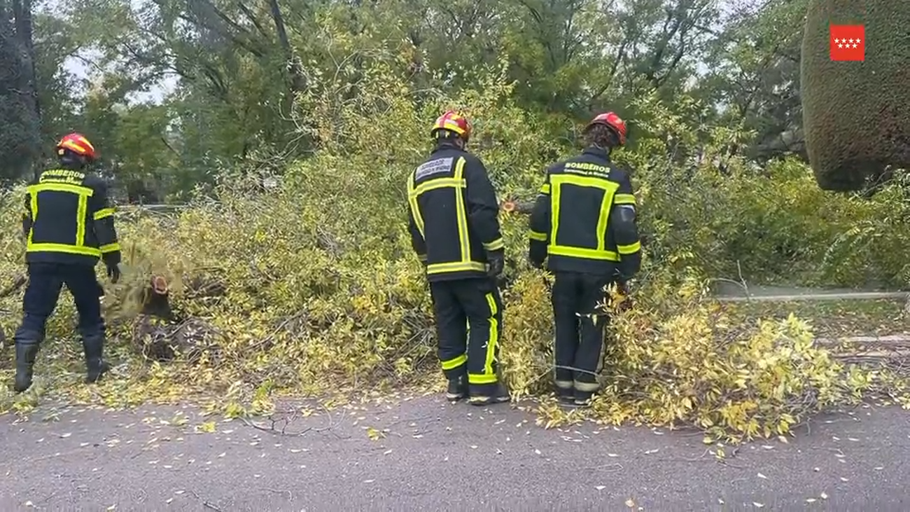 Los bomberos de la Comunidad realizan 105 intervenciones en Madrid por el fuerte viento