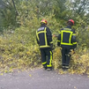 Los bomberos de la Comunidad realizan 105 intervenciones en Madrid por el fuerte viento