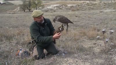 Cetrería, el primer 'deporte' de la Humanidad