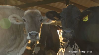 El mensaje de un ganadero: "Esto es una ruina"