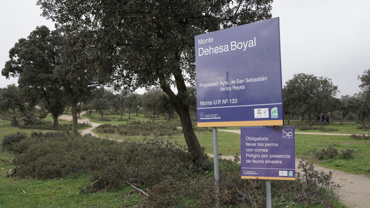 Día Mundial del Medio Ambiente en la Dehesa Boyal de Sanse