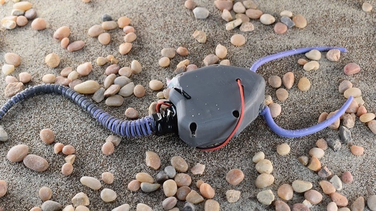 Un robot para explicar la vida hace 400 millones de años