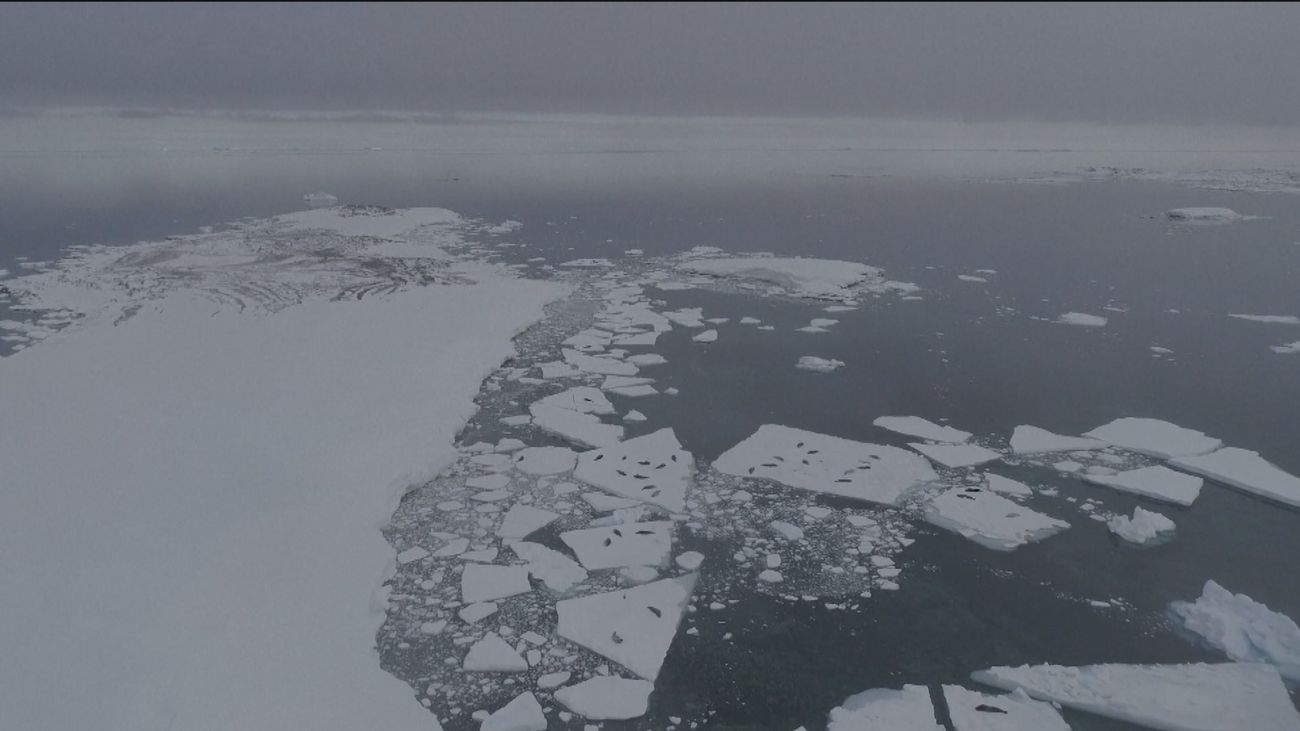 2023, posiblemente el año más cálido de la historia