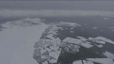 2023, posiblemente el año más cálido de la historia