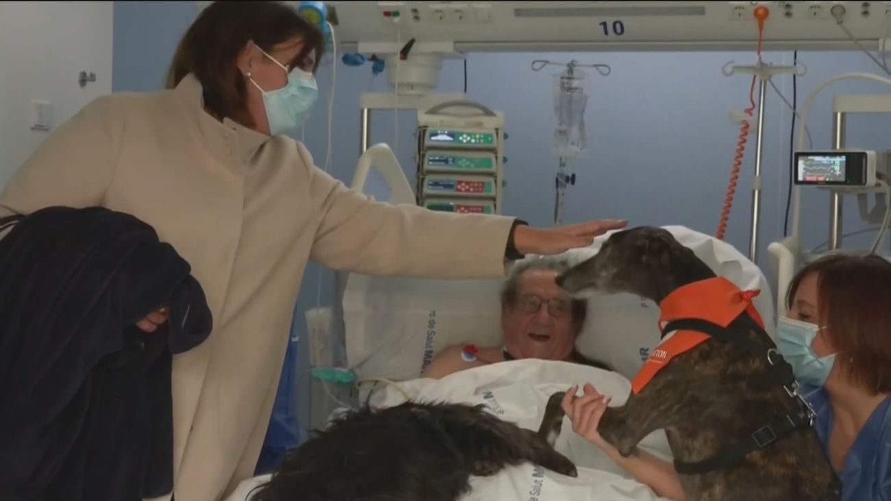 Terapeutas de cuatro patas en el Hospital del Mar de Barcelona