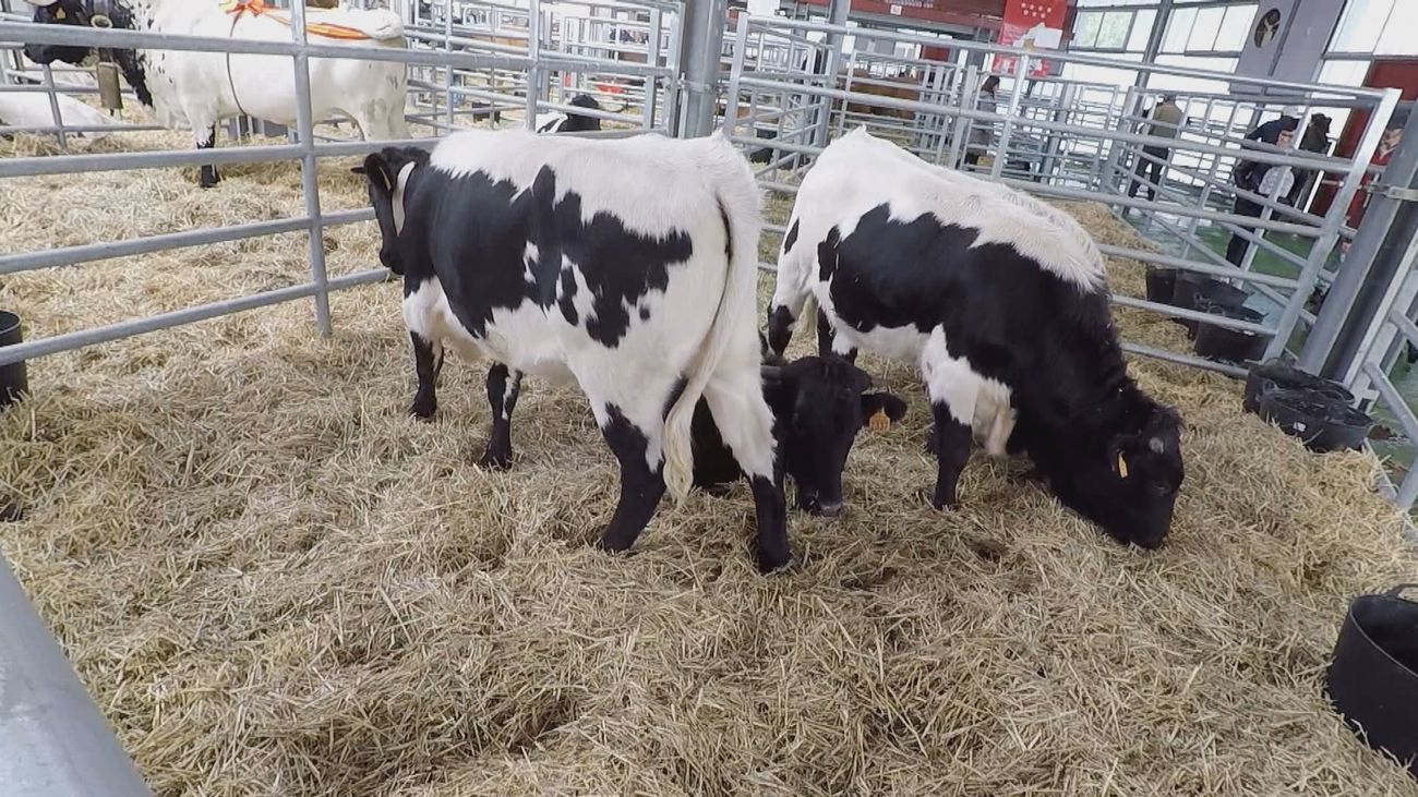 Madrid mejora tu vida 12.11.2023