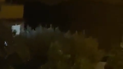 VÍDEO: Un león escapa de un circo y deambula por las calles cerca de Roma