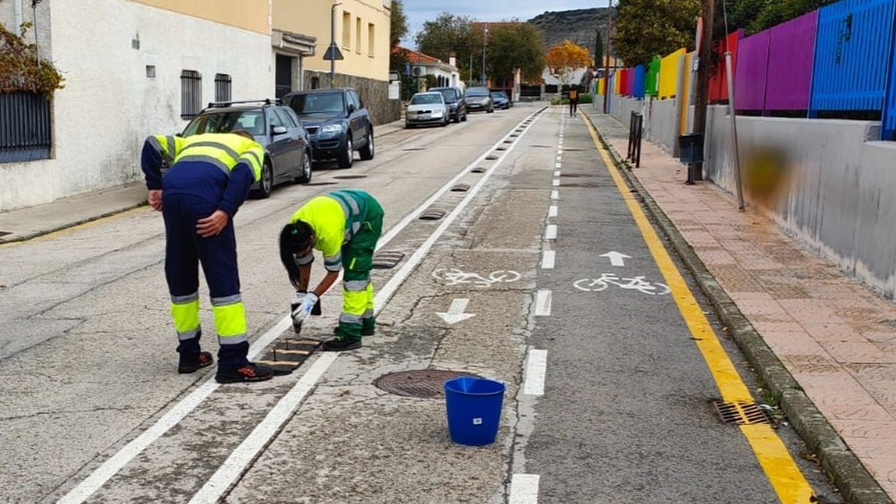 Desmontaje de los separadores del carril bici en Torres de la Alameda