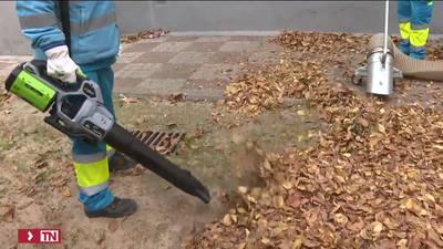Un total de 2.265 operarios limpiarán las hojas en las calles de Madrid