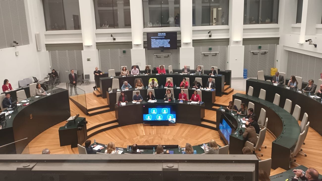 El Pleno de Cibeles rechaza la amnistía y los pactos de Sánchez con votos de PP y Vox