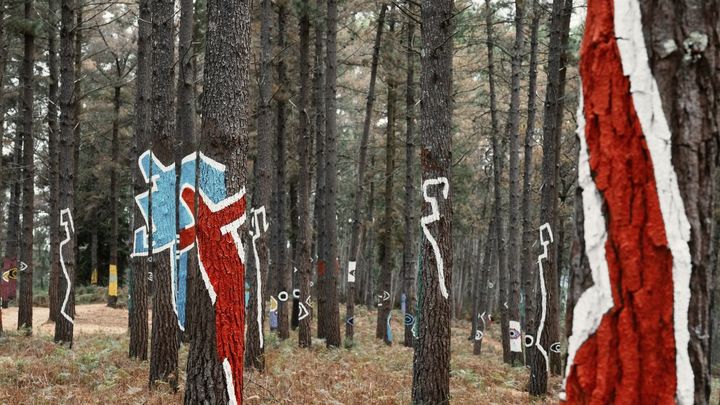 Imagen del Bosque de Oma / EUROPA PRESS